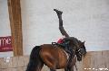 Photo n 36377&#10;AVS - Les Jeudis du Parc&#10;image de promotion&#10;Affiche 10 fois&#10;Ajoute le 07/04/2016 17:47:39 par JeanClaudeGrognet&#10;&#10;--> Cliquer pour agrandir <--