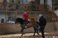 Photo n 36379&#10;AVS - Les Jeudis du Parc&#10;image de promotion&#10;Affiche 12 fois&#10;Ajoute le 07/04/2016 17:47:39 par JeanClaudeGrognet&#10;&#10;--> Cliquer pour agrandir <--