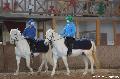 Photo n 36383&#10;AVS - Les Jeudis du Parc&#10;image de promotion&#10;Affiche 9 fois&#10;Ajoute le 07/04/2016 17:47:40 par JeanClaudeGrognet&#10;&#10;--> Cliquer pour agrandir <--