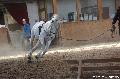 Photo n 36387&#10;AVS - Les Jeudis du Parc&#10;image de promotion&#10;Affiche 13 fois&#10;Ajoute le 07/04/2016 17:47:40 par JeanClaudeGrognet&#10;&#10;--> Cliquer pour agrandir <--