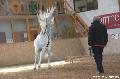 Photo n 36388&#10;AVS - Les Jeudis du Parc&#10;image de promotion&#10;Affiche 15 fois&#10;Ajoute le 07/04/2016 17:47:40 par JeanClaudeGrognet&#10;&#10;--> Cliquer pour agrandir <--