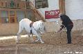 Photo n 36389&#10;AVS - Les Jeudis du Parc&#10;image de promotion&#10;Affiche 11 fois&#10;Ajoute le 07/04/2016 17:47:40 par JeanClaudeGrognet&#10;&#10;--> Cliquer pour agrandir <--