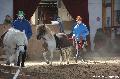 Photo n 36390&#10;AVS - Les Jeudis du Parc&#10;image de promotion&#10;Affiche 9 fois&#10;Ajoute le 07/04/2016 17:47:40 par JeanClaudeGrognet&#10;&#10;--> Cliquer pour agrandir <--