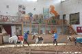 Photo n 36392&#10;AVS - Les Jeudis du Parc&#10;image de promotion&#10;Affiche 9 fois&#10;Ajoute le 07/04/2016 17:47:40 par JeanClaudeGrognet&#10;&#10;--> Cliquer pour agrandir <--