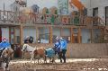 Photo n 36393&#10;AVS - Les Jeudis du Parc&#10;image de promotion&#10;Affiche 8 fois&#10;Ajoute le 07/04/2016 17:47:40 par JeanClaudeGrognet&#10;&#10;--> Cliquer pour agrandir <--