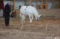 Photo n 36400&#10;AVS - Les Jeudis du Parc&#10;image de promotion&#10;Affiche 7 fois&#10;Ajoute le 07/04/2016 17:47:40 par JeanClaudeGrognet&#10;&#10;--> Cliquer pour agrandir <--