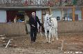 Photo n 36401&#10;AVS - Les Jeudis du Parc&#10;image de promotion&#10;Affiche 23 fois&#10;Ajoute le 07/04/2016 17:47:41 par JeanClaudeGrognet&#10;&#10;--> Cliquer pour agrandir <--