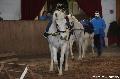 Photo n 36404&#10;AVS - Les Jeudis du Parc&#10;image de promotion&#10;Affiche 19 fois&#10;Ajoute le 07/04/2016 17:47:41 par JeanClaudeGrognet&#10;&#10;--> Cliquer pour agrandir <--