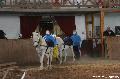 Photo n 36405&#10;AVS - Les Jeudis du Parc&#10;image de promotion&#10;Affiche 10 fois&#10;Ajoute le 07/04/2016 17:47:41 par JeanClaudeGrognet&#10;&#10;--> Cliquer pour agrandir <--