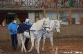 Photo n 36406&#10;AVS - Les Jeudis du Parc&#10;image de promotion&#10;Affiche 14 fois&#10;Ajoute le 07/04/2016 17:47:41 par JeanClaudeGrognet&#10;&#10;--> Cliquer pour agrandir <--