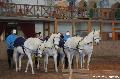 Photo n 36408&#10;AVS - Les Jeudis du Parc&#10;image de promotion&#10;Affiche 21 fois&#10;Ajoute le 07/04/2016 17:47:41 par JeanClaudeGrognet&#10;&#10;--> Cliquer pour agrandir <--