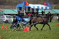 Photo n 36421&#10;Evreux 2016. Photo Chevalandrieu&#10;Mireille MARLIN&#10;Affiche 32 fois&#10;Ajoute le 12/04/2016 11:47:26 par Nadinetoudic&#10;&#10;--> Cliquer pour agrandir <--