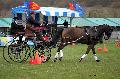 Photo n 36423&#10;Evreux 2016. Photo Chevalandrieu&#10;Ugo FARINA&#10;Affiche 43 fois&#10;Ajoute le 12/04/2016 11:47:26 par Nadinetoudic&#10;&#10;--> Cliquer pour agrandir <--