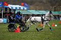 Photo n 36424&#10;Evreux 2016. Photo Chevalandrieu&#10;Mava LARUE&#10;Affiche 39 fois&#10;Ajoute le 12/04/2016 11:47:26 par Nadinetoudic&#10;&#10;--> Cliquer pour agrandir <--