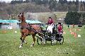 Photo n 36427&#10;Evreux 2016. Photo Chevalandrieu&#10;Pascale AUDIGUER&#10;Affiche 44 fois&#10;Ajoute le 12/04/2016 11:47:26 par Nadinetoudic&#10;&#10;--> Cliquer pour agrandir <--
