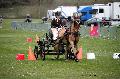 Photo n 36428&#10;Evreux 2016. Photo Chevalandrieu&#10;Marie VERNA&#10;Affiche 42 fois&#10;Ajoute le 12/04/2016 11:47:26 par Nadinetoudic&#10;&#10;--> Cliquer pour agrandir <--