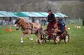 Photo n 36431&#10;Evreux 2016. Photo Chevalandrieu&#10;Lucille ROGER&#10;Affiche 32 fois&#10;Ajoute le 12/04/2016 11:47:27 par Nadinetoudic&#10;&#10;--> Cliquer pour agrandir <--
