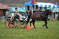 Photo n 36432&#10;Evreux 2016. Photo Chevalandrieu&#10;Laurence PATRAS&#10;Affiche 38 fois&#10;Ajoute le 12/04/2016 11:55:46 par Nadinetoudic&#10;&#10;--> Cliquer pour agrandir <--