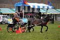 Photo n 36433&#10;Evreux 2016. Photo Chevalandrieu&#10;Pierre BLOTTIN&#10;Affiche 23 fois&#10;Ajoute le 12/04/2016 11:55:46 par Nadinetoudic&#10;&#10;--> Cliquer pour agrandir <--