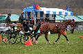 Photo n 36435&#10;Evreux 2016. Photo Chevalandrieu&#10;Didier MATHIS&#10;Affiche 46 fois&#10;Ajoute le 12/04/2016 11:55:46 par Nadinetoudic&#10;&#10;--> Cliquer pour agrandir <--