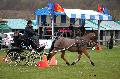 Photo n° 36436
Evreux 2016. Photo Chevalandrieu
Pierre LE CLERC
Affichée 31 fois
Ajoutée le 12/04/2016 11:55:46 par Nadinetoudic

--> Cliquer pour agrandir <--