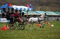 Photo n 36437&#10;Evreux 2016. Photo Chevalandrieu&#10;Delphine TOULOUSE&#10;Affiche 32 fois&#10;Ajoute le 12/04/2016 11:55:46 par Nadinetoudic&#10;&#10;--> Cliquer pour agrandir <--