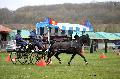 Photo n 36439&#10;Evreux 2016. Photo Chevalandrieu&#10;Michel VIGNAUD&#10;Affiche 73 fois&#10;Ajoute le 12/04/2016 11:55:46 par Nadinetoudic&#10;&#10;--> Cliquer pour agrandir <--