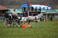 Photo n 36440&#10;Evreux 2016. Photo Chevalandrieu&#10;Cline LE BIHAN&#10;Affiche 40 fois&#10;Ajoute le 12/04/2016 11:55:46 par Nadinetoudic&#10;&#10;--> Cliquer pour agrandir <--