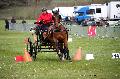 Photo n° 36445
Evreux 2016. Photo Chevalandrieu
Régis DROUAILLET
Affichée 50 fois
Ajoutée le 12/04/2016 18:31:25 par Nadinetoudic

--> Cliquer pour agrandir <--