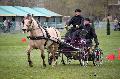 Photo n° 36448
Evreux 2016. Photo Chevalandrieu
Anthony MARTIN
Affichée 29 fois
Ajoutée le 12/04/2016 18:31:25 par Nadinetoudic

--> Cliquer pour agrandir <--