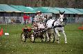 Photo n 36450&#10;Evreux 2016. Photo Chevalandrieu&#10;Charline  LE NOUAILLE&#10;Affiche 32 fois&#10;Ajoute le 12/04/2016 18:31:25 par Nadinetoudic&#10;&#10;--> Cliquer pour agrandir <--