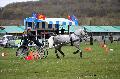 Photo n 36451&#10;Evreux 2016. Photo Chevalandrieu&#10;Pascaline MIANNAY&#10;Affiche 38 fois&#10;Ajoute le 14/04/2016 18:06:53 par Nadinetoudic&#10;&#10;--> Cliquer pour agrandir <--