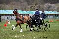 Photo n 36452&#10;Evreux 2016. Photo Chevalandrieu&#10;Laurie MARTIN&#10;Affiche 45 fois&#10;Ajoute le 14/04/2016 18:06:53 par Nadinetoudic&#10;&#10;--> Cliquer pour agrandir <--