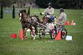 Photo n 36453&#10;Evreux 2016. Photo Chevalandrieu&#10;Robin CRESSENT&#10;Affiche 28 fois&#10;Ajoute le 14/04/2016 18:06:53 par Nadinetoudic&#10;&#10;--> Cliquer pour agrandir <--