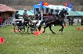 Photo n 36455&#10;Evreux 2016. Photo Chevalandrieu&#10;Franois EVRARD&#10;Affiche 28 fois&#10;Ajoute le 14/04/2016 18:06:53 par Nadinetoudic&#10;&#10;--> Cliquer pour agrandir <--