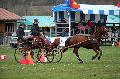 Photo n 36462&#10;Evreux 2016. Photo Chevalandrieu&#10;Thibault PASQUET&#10;Affiche 71 fois&#10;Ajoute le 14/04/2016 18:06:54 par Nadinetoudic&#10;&#10;--> Cliquer pour agrandir <--