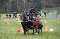 Photo n 36463&#10;Evreux 2016. Photo Chevalandrieu&#10;Jean-Frdric SELLE&#10;Affiche 25 fois&#10;Ajoute le 16/04/2016 12:06:56 par Nadinetoudic&#10;&#10;--> Cliquer pour agrandir <--