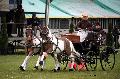 Photo n 36464&#10;Evreux 2016. Photo Chevalandrieu&#10;Louise FILLON&#10;Affiche 40 fois&#10;Ajoute le 16/04/2016 12:06:56 par Nadinetoudic&#10;&#10;--> Cliquer pour agrandir <--