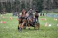 Photo n 36466&#10;Evreux 2016. Photo Chevalandrieu&#10;Bndicte PENANT&#10;Affiche 22 fois&#10;Ajoute le 16/04/2016 12:06:56 par Nadinetoudic&#10;&#10;--> Cliquer pour agrandir <--