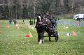 Photo n 36468&#10;Evreux 2016. Photo Chevalandrieu&#10;Carole SIMON&#10;Affiche 17 fois&#10;Ajoute le 16/04/2016 12:06:56 par Nadinetoudic&#10;&#10;--> Cliquer pour agrandir <--