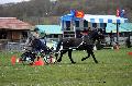 Photo n° 36469
Evreux 2016. Photo Chevalandrieu
Marc MENET
Affichée 15 fois
Ajoutée le 16/04/2016 12:06:56 par Nadinetoudic

--> Cliquer pour agrandir <--