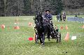 Photo n 36471&#10;Evreux 2016. Photo Chevalandrieu&#10;Nicolas WIART&#10;Affiche 18 fois&#10;Ajoute le 16/04/2016 12:06:56 par Nadinetoudic&#10;&#10;--> Cliquer pour agrandir <--