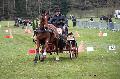 Photo n 36472&#10;Evreux 2016. Photo Chevalandrieu&#10;Eric LAVILLE&#10;Affiche 41 fois&#10;Ajoute le 16/04/2016 12:13:30 par Nadinetoudic&#10;&#10;--> Cliquer pour agrandir <--