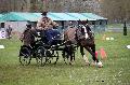 Photo n° 36473
Evreux 2016. Photo Chevalandrieu
Marc LAZCANO
Affichée 24 fois
Ajoutée le 16/04/2016 12:13:30 par Nadinetoudic

--> Cliquer pour agrandir <--