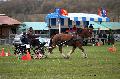 Photo n° 36474
Evreux 2016. Photo Chevalandrieu
Jean-Louis RAGINEL
Affichée 31 fois
Ajoutée le 16/04/2016 12:13:30 par Nadinetoudic

--> Cliquer pour agrandir <--