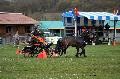 Photo n° 36475
Evreux 2016. Photo Chevalandrieu
Marjorie Gache
Affichée 19 fois
Ajoutée le 16/04/2016 12:13:30 par Nadinetoudic

--> Cliquer pour agrandir <--