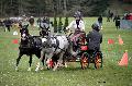 Photo n 36476&#10;Evreux 2016. Photo Chevalandrieu&#10;Valentine LENORMAND&#10;Affiche 28 fois&#10;Ajoute le 16/04/2016 12:13:30 par Nadinetoudic&#10;&#10;--> Cliquer pour agrandir <--