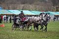 Photo n 36478&#10;Evreux 2016. Photo Chevalandrieu&#10;Pierre HENRY&#10;Affiche 41 fois&#10;Ajoute le 16/04/2016 12:13:30 par Nadinetoudic&#10;&#10;--> Cliquer pour agrandir <--