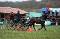Photo n 36479&#10;Evreux 2016. Photo Chevalandrieu&#10;Charles LANVIN&#10;Affiche 25 fois&#10;Ajoute le 16/04/2016 12:13:30 par Nadinetoudic&#10;&#10;--> Cliquer pour agrandir <--