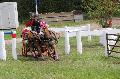 Photo n 36627&#10;Neewiller haras de la Ne&#10;&#10;Affiche 15 fois&#10;Ajoute le 24/04/2016 20:29:10 par JeanClaudeGrognet&#10;&#10;--> Cliquer pour agrandir <--